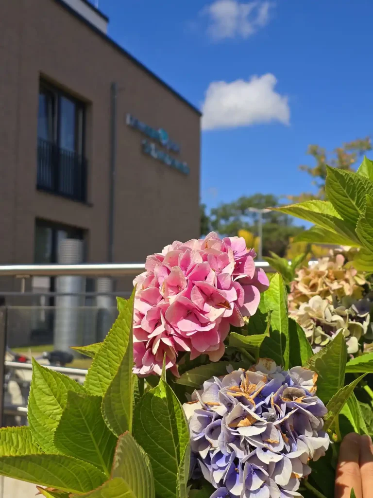 Seniorenwohnpark Schwanewede-Damm